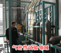 成功国产麻豆精品无码视频