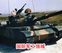 成功国产麻豆精品无码视频