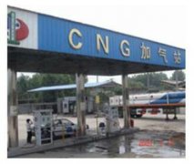 成功国产麻豆精品无码视频